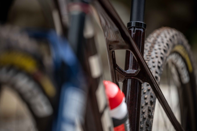 2024 trek procaliber carbon isobow.jpg