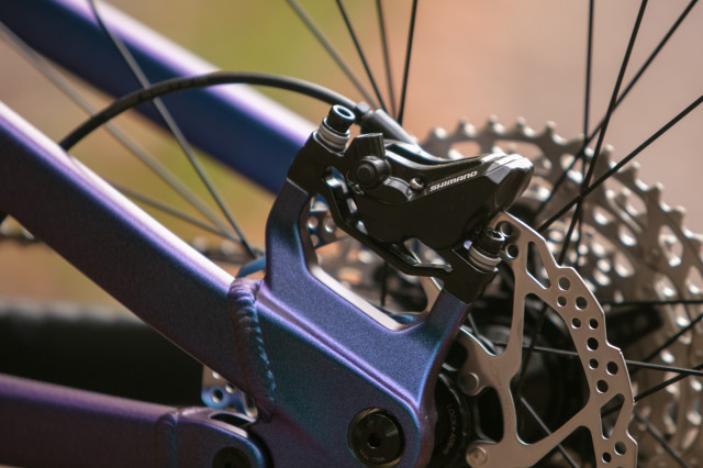 2024 voodoo canzo cali 1 - Copy.jpg