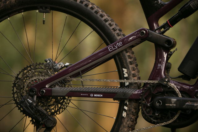 2024 whyte e lyte evo RS chainstay.jpg