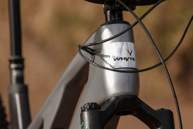 2024 whyte elyte 150 head tube.jpg