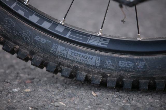 2024 wtb judge sidewall deets.jpg