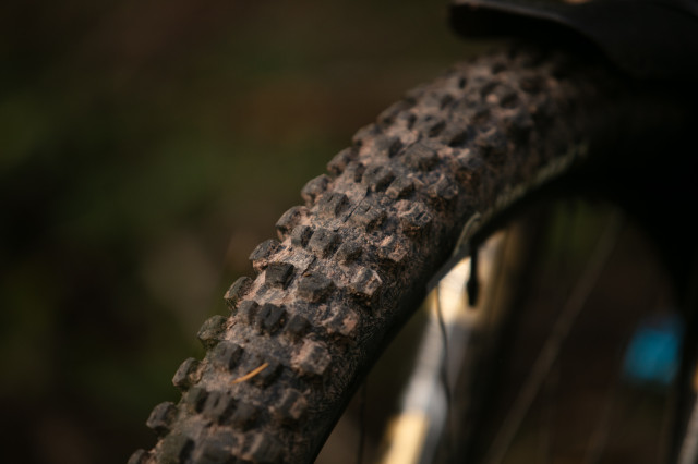 2024 yt industries decoy sn front tyre.jpg