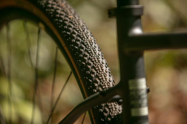 2025 boardman trvl tyre.jpg