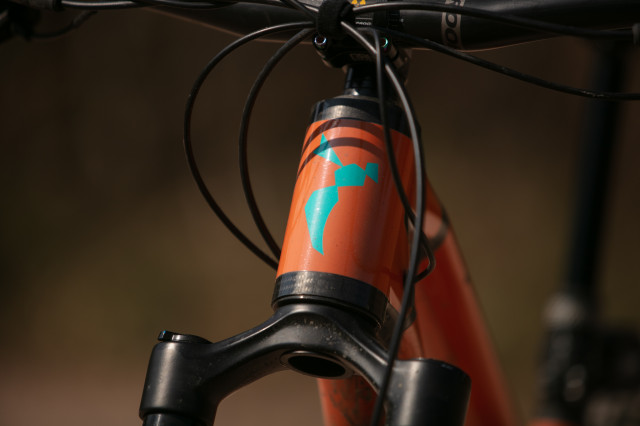 2025 carbon wasp gearbox headtube.jpg