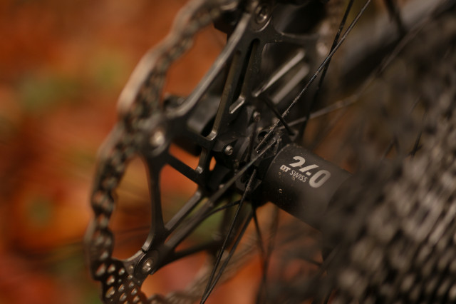 2025 dt swiss df freehub.jpg