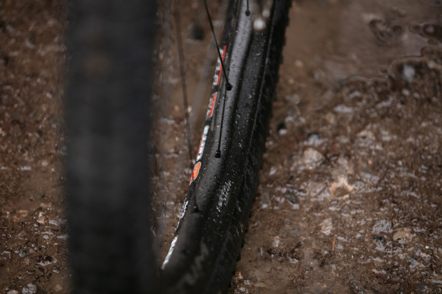 2025 fulcrum metal carbon profile 2.jpg