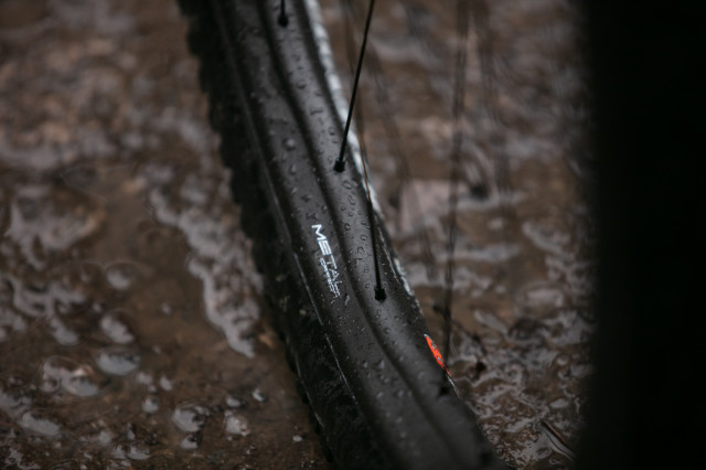 2025 fulcrum metal carbon profile.jpg