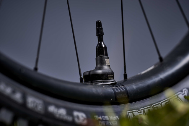 2025 giant reign tyre cheker.jpg