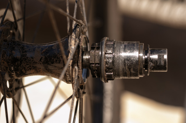 2025 halo skelta freehub.jpg