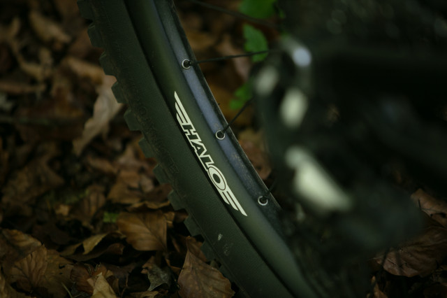 2025 halo skelta rear logo.jpg