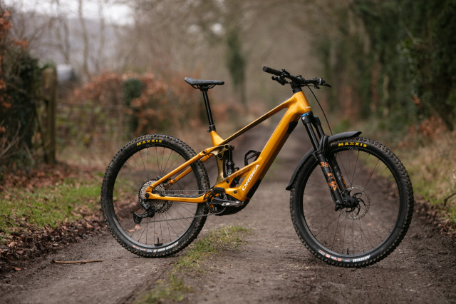2025 orbea wild 5ct.jpg