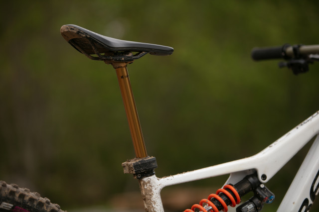 2025 phoebe gale rallon dropper.jpg