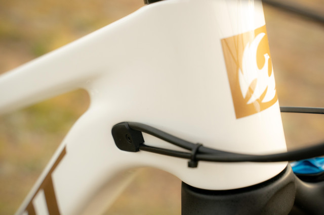 2025 pivot firebird cable routing.jpg