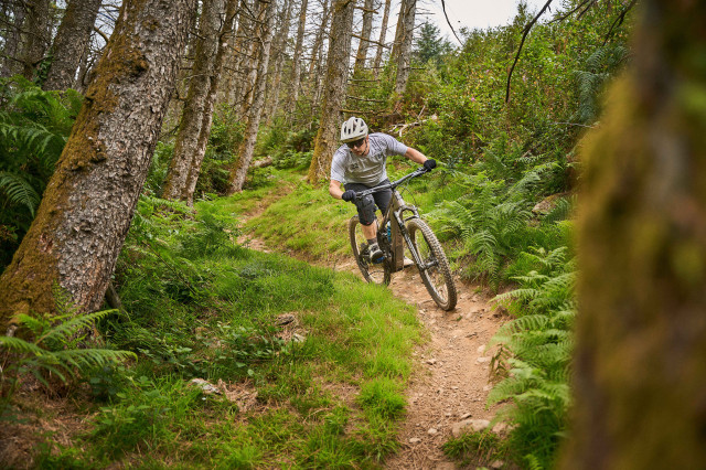 2025 pivot shuttle am riding 5.jpg