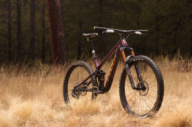 2025 pivot trailcat N LT h.jpg