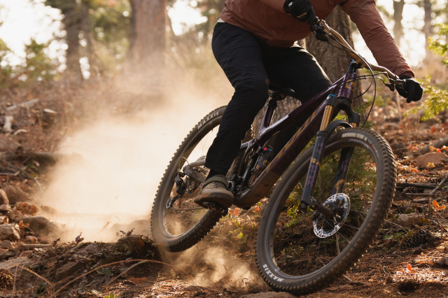 2025 pivot trailcat N riding.jpg