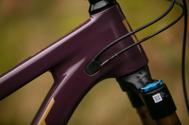 2025 pivot trailcat lt ports.jpg