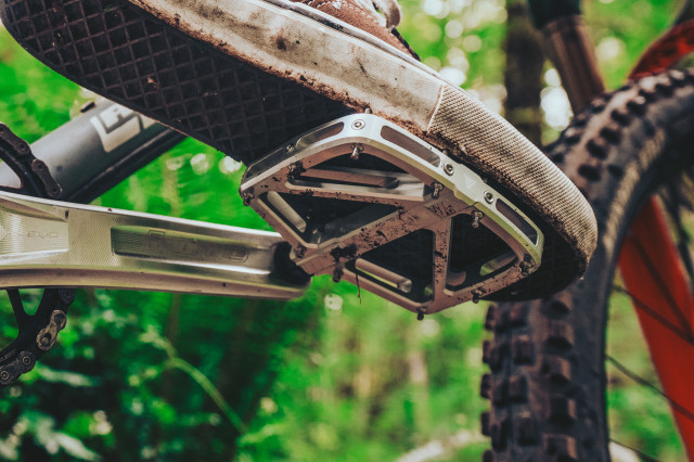 2025 pnw loam pedal 1.jpg