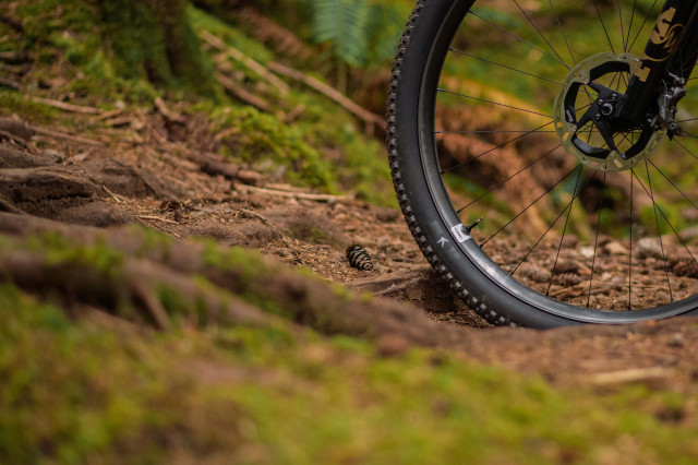 2025 race face era sl rim close.jpg