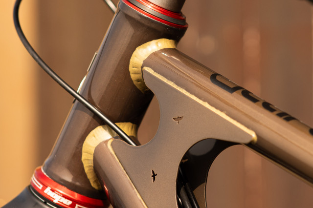 2025 starling dive head tube.jpg