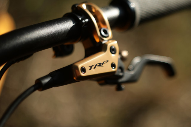 2025 trp evo pro lever 2.jpg