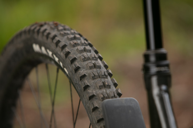 2025 whyte kado s rear tyre.jpg