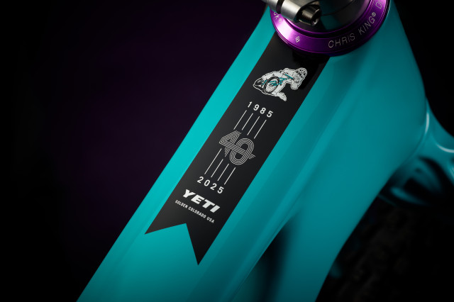 2025 yeti asr annivasary top tube.jpg