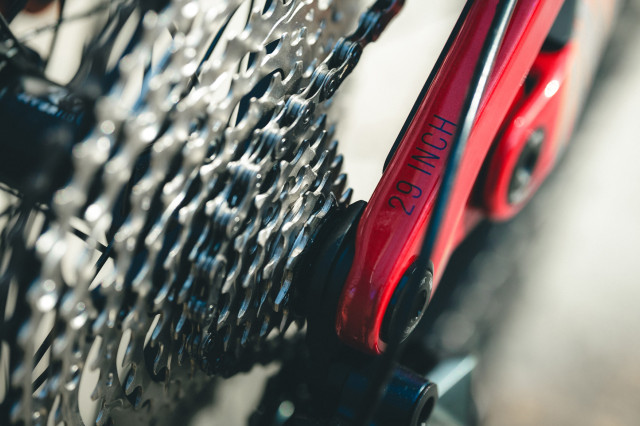 2025 yt industries decoy 29 sn 29.jpeg