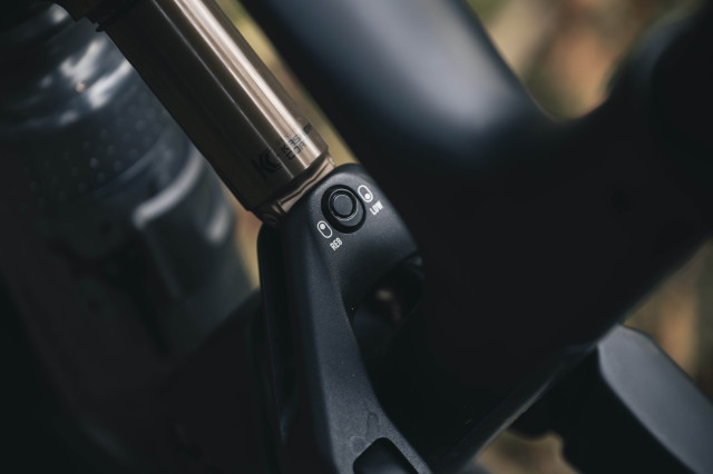 2025 yt industries decoy 29 sn flip chip.jpg