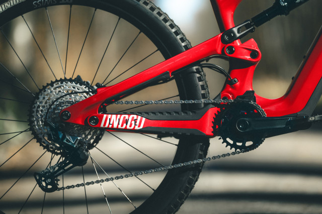 2025 yt industries decoy 29 sn rear.jpeg