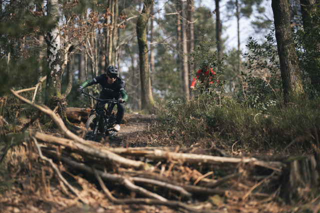 2025 yt industries decoy 29 sn riding roots.jpg
