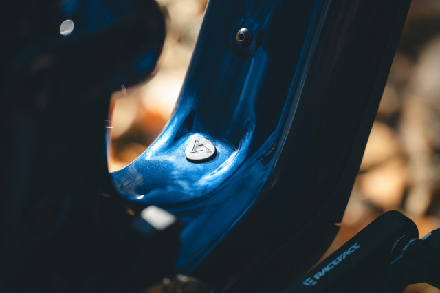 2025 yt industries decoy 29 sn thing.jpeg