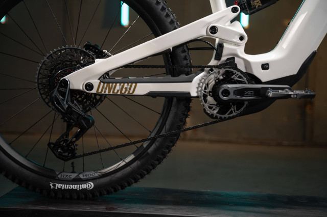 2025 yt industries decoy rear.jpg