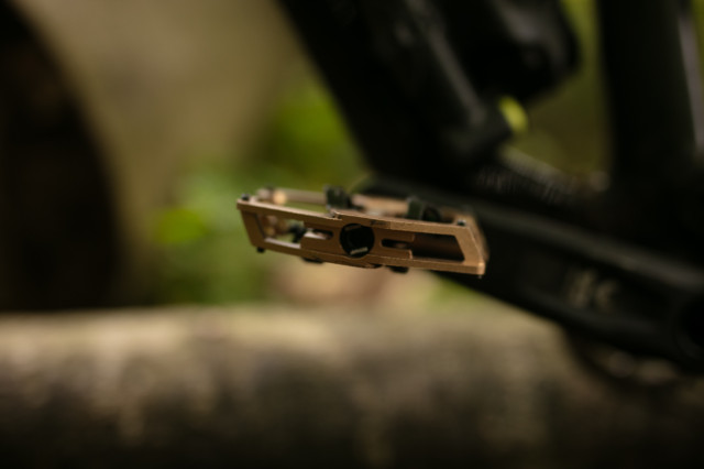 2026 dmr vmax profile.jpg