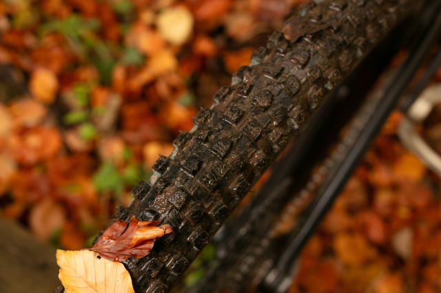 2026 maxxis dissector g2 2.jpg
