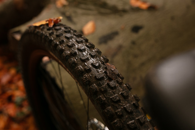 2026 maxxis dissector g2 diagonal.jpg