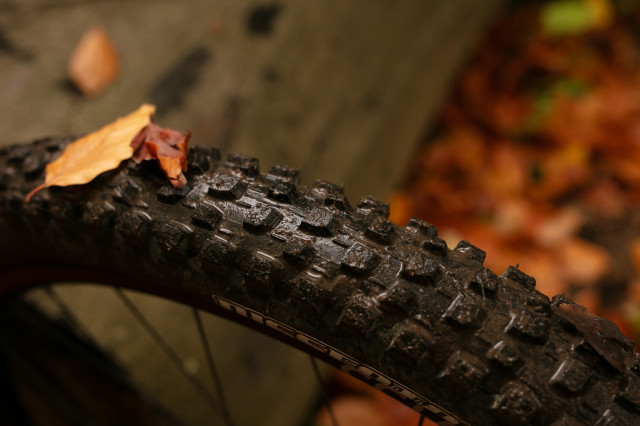 2026 maxxis dissector g2 lose.jpg