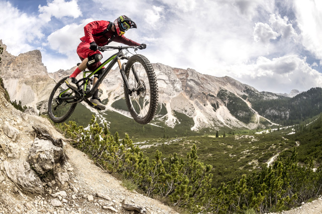 Rose Pikes Peak