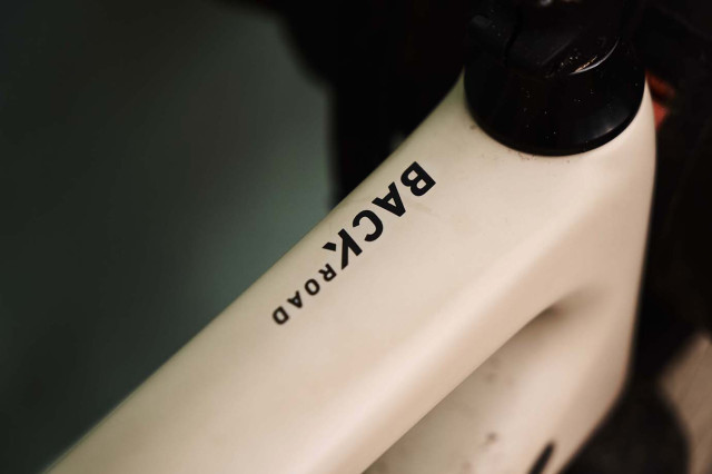 Rose Backroad Detail top tube