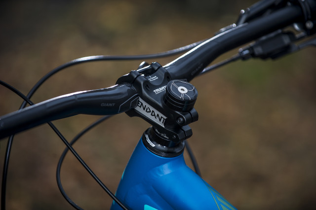 Liv Cycling Hail Detail Stem 2