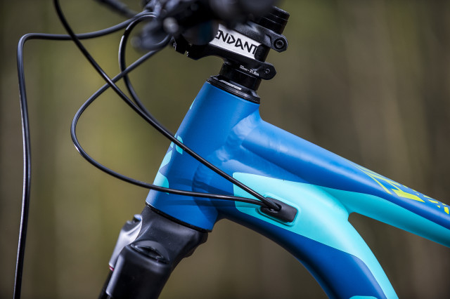 Liv Cycling Hail Detail Head tube