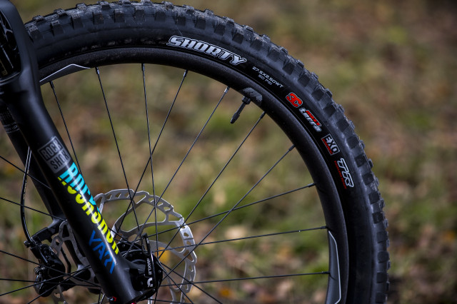 Liv Cycling Hail Detail Tyres