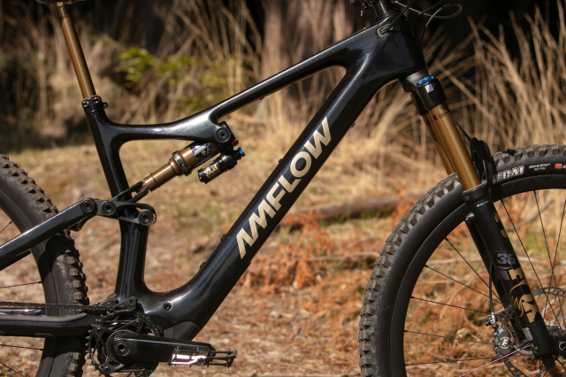 Amflow PL Carbon Pro _4.jpg