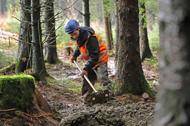 Bike Park Wales green trail .jpg