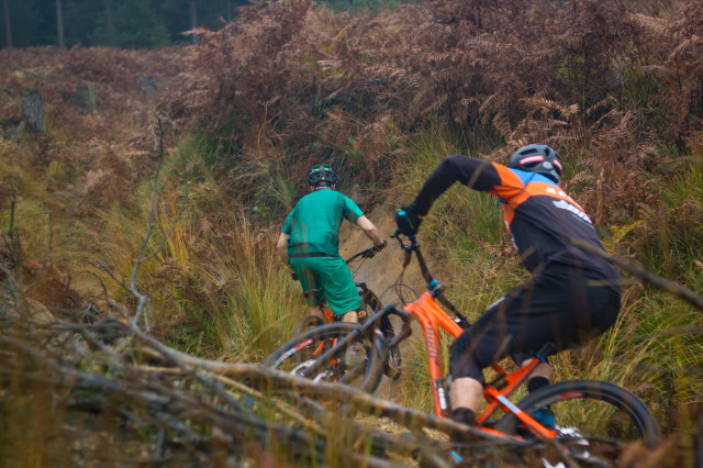 Bird Cycleworks Aeris 145-16 riding .jpg