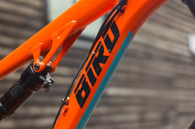 Bird Cycleworks Aeris 145-3 down tube.jpg