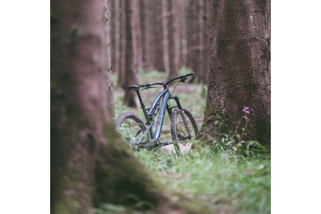 Boardman-MTB-07977.jpg