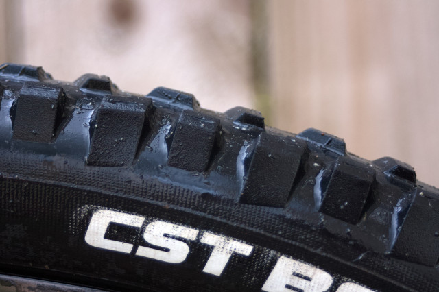 CST-BFT-29-x-2.25 Tyre Review 2021 side wall.jpg