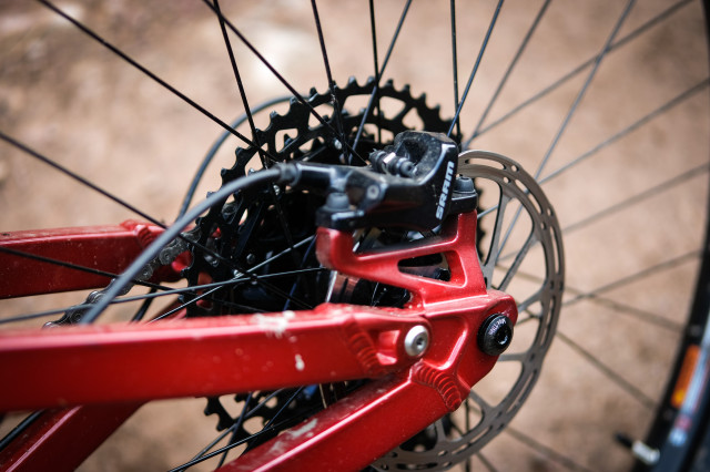 Calibre Bossnut 2020 Detail-17.jpg