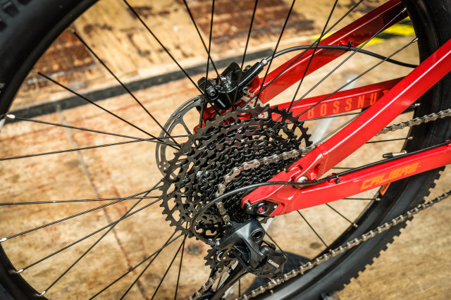 Calibre Bossnut 2020-8.jpg